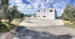 Olivar con almazara y cortijo en la provincia de Córdoba Olivar con almazara y cortijo en la provincia de Córdoba