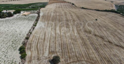 Finca agrícola en venta en  la provincia de Cádiz