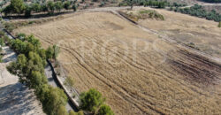 Finca agrícola en venta en  la provincia de Cádiz