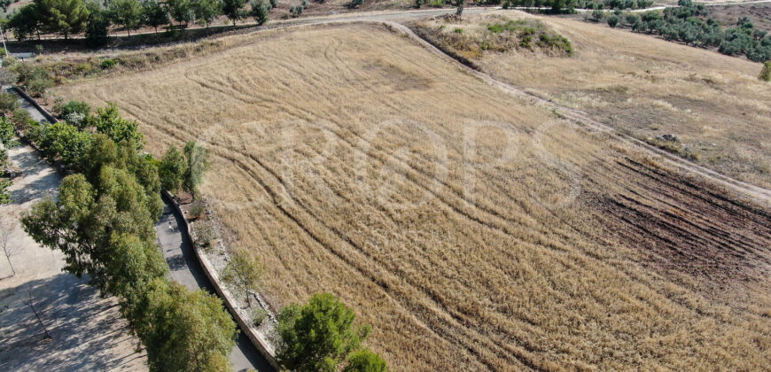 Finca agrícola en venta en  la provincia de Cádiz