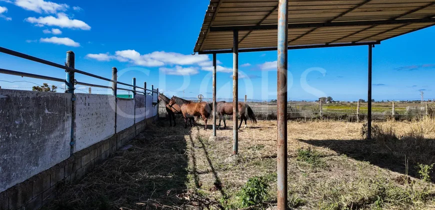 En venta finca ecuestre en Cádiz, en el entorno de la Costa de la Luz