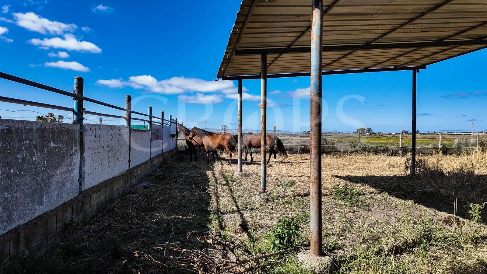 En venta finca ecuestre en Cádiz, en el entorno de la Costa de la Luz