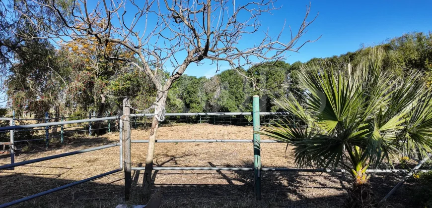 En venta finca ecuestre en Cádiz, en el entorno de la Costa de la Luz