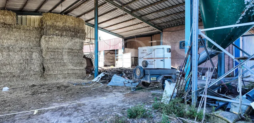 En venta finca ecuestre en Cádiz, en el entorno de la Costa de la Luz