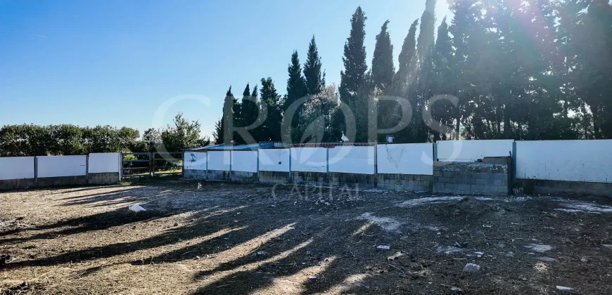 En venta finca ecuestre en Cádiz, en el entorno de la Costa de la Luz