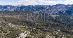 Exclusiva finca de caza en la Sierra de Grazalema (Cádiz) Exclusiva finca de caza en la Sierra de Grazalema (Cádiz)