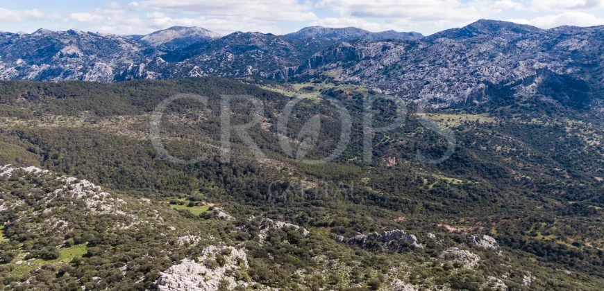 Exclusiva finca de caza en la Sierra de Grazalema (Cádiz)