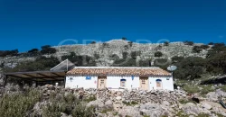 Exclusiva finca de caza en la Sierra de Grazalema (Cádiz) Exclusiva finca de caza en la Sierra de Grazalema (Cádiz)