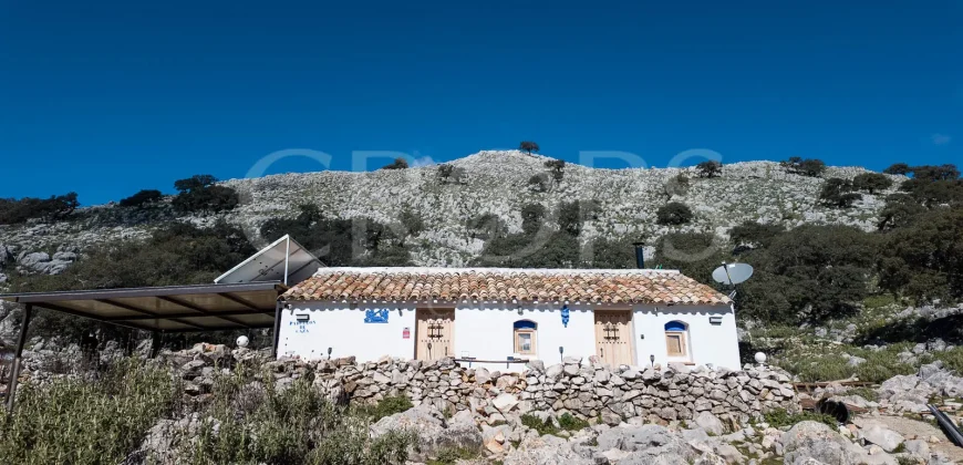 Exclusiva finca de caza en la Sierra de Grazalema (Cádiz)