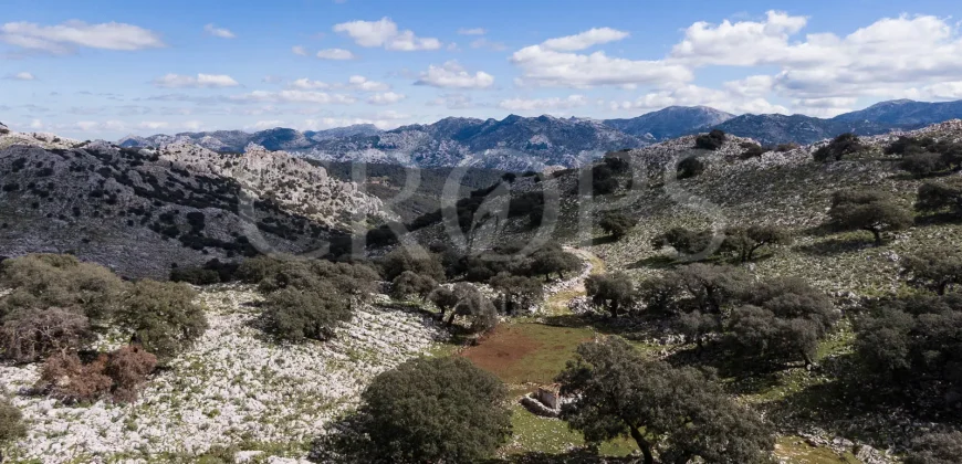 Exclusiva finca de caza en la Sierra de Grazalema (Cádiz)