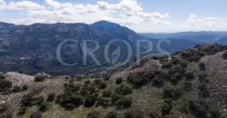 Exclusiva finca de caza en la Sierra de Grazalema (Cádiz) Exclusiva finca de caza en la Sierra de Grazalema (Cádiz)