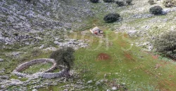 Exclusiva finca de caza en la Sierra de Grazalema (Cádiz) Exclusiva finca de caza en la Sierra de Grazalema (Cádiz)