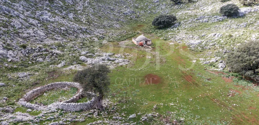 Exclusiva finca de caza en la Sierra de Grazalema (Cádiz)