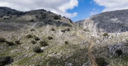 Exclusiva finca de caza en la Sierra de Grazalema (Cádiz) Exclusiva finca de caza en la Sierra de Grazalema (Cádiz)