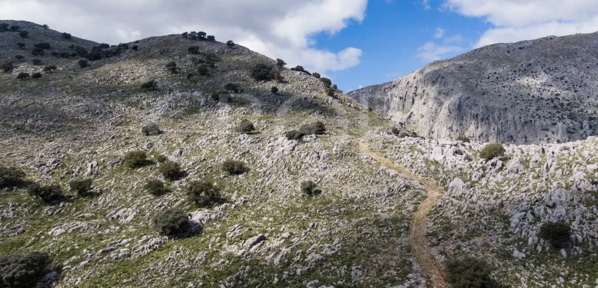 Exclusiva finca de caza en la Sierra de Grazalema (Cádiz)