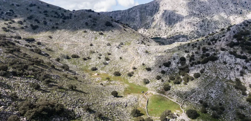 Exclusiva finca de caza en la Sierra de Grazalema (Cádiz)