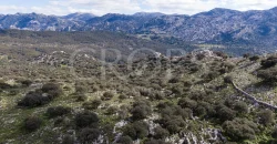 Exclusiva finca de caza en la Sierra de Grazalema (Cádiz) Exclusiva finca de caza en la Sierra de Grazalema (Cádiz)