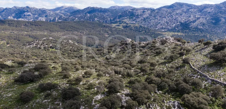 Exclusiva finca de caza en la Sierra de Grazalema (Cádiz)