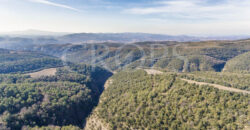 Finca forestal, agrícola y cinegética en la provincia de Huesca 