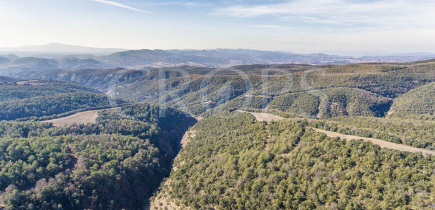 Finca forestal, agrícola y cinegética en la provincia de Huesca 