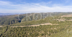 Finca forestal, agrícola y cinegética en la provincia de Huesca 