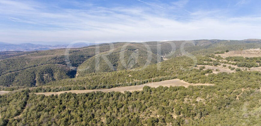 Finca forestal, agrícola y cinegética en la provincia de Huesca 