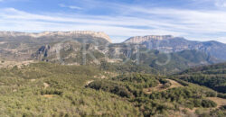 Finca forestal, agrícola y cinegética en la provincia de Huesca 