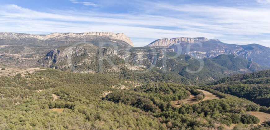 Finca forestal, agrícola y cinegética en la provincia de Huesca 