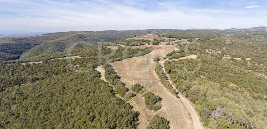 Finca forestal, agrícola y cinegética en la provincia de Huesca 