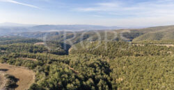 Finca forestal, agrícola y cinegética en la provincia de Huesca 