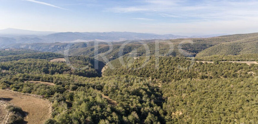 Finca forestal, agrícola y cinegética en la provincia de Huesca 