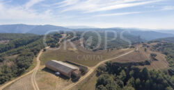 Finca forestal, agrícola y cinegética en la provincia de Huesca 