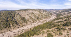 Finca forestal, agrícola y cinegética en la provincia de Huesca 