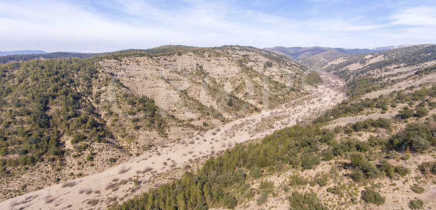 Finca forestal, agrícola y cinegética en la provincia de Huesca 