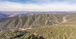 Finca forestal, agrícola y cinegética en la provincia de Huesca 