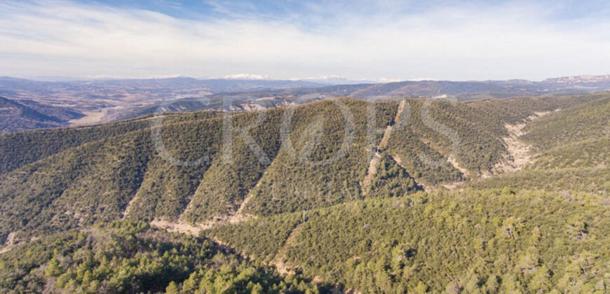 Finca forestal, agrícola y cinegética en la provincia de Huesca 