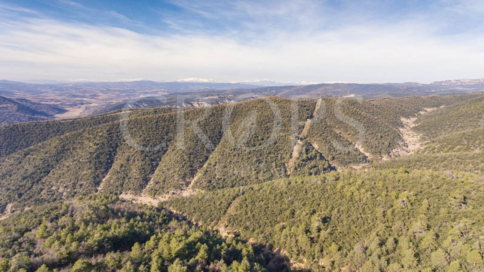 Finca forestal, agrícola y cinegética en la provincia de Huesca Finca forestal, agrícola y cinegética en la provincia de Huesca