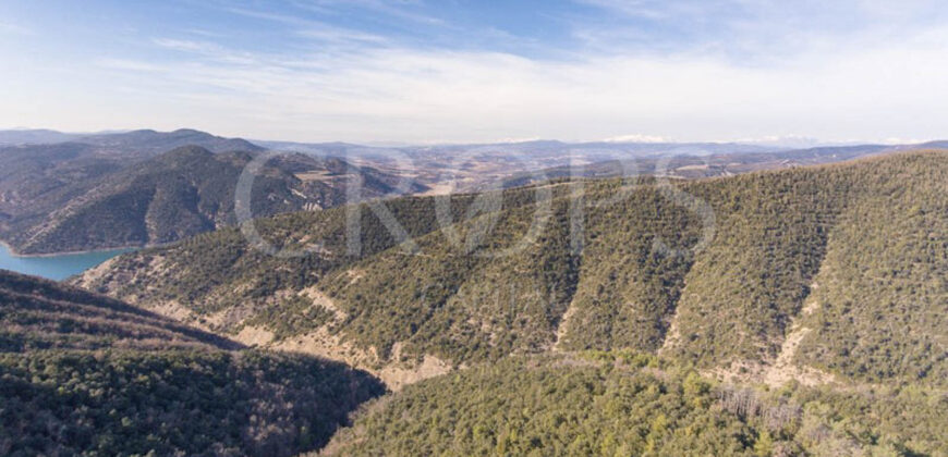 Finca forestal, agrícola y cinegética en la provincia de Huesca 