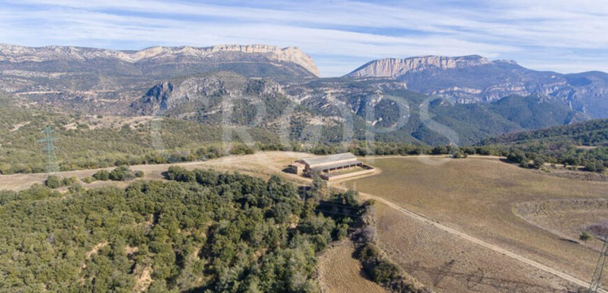 Finca forestal, agrícola y cinegética en la provincia de Huesca 