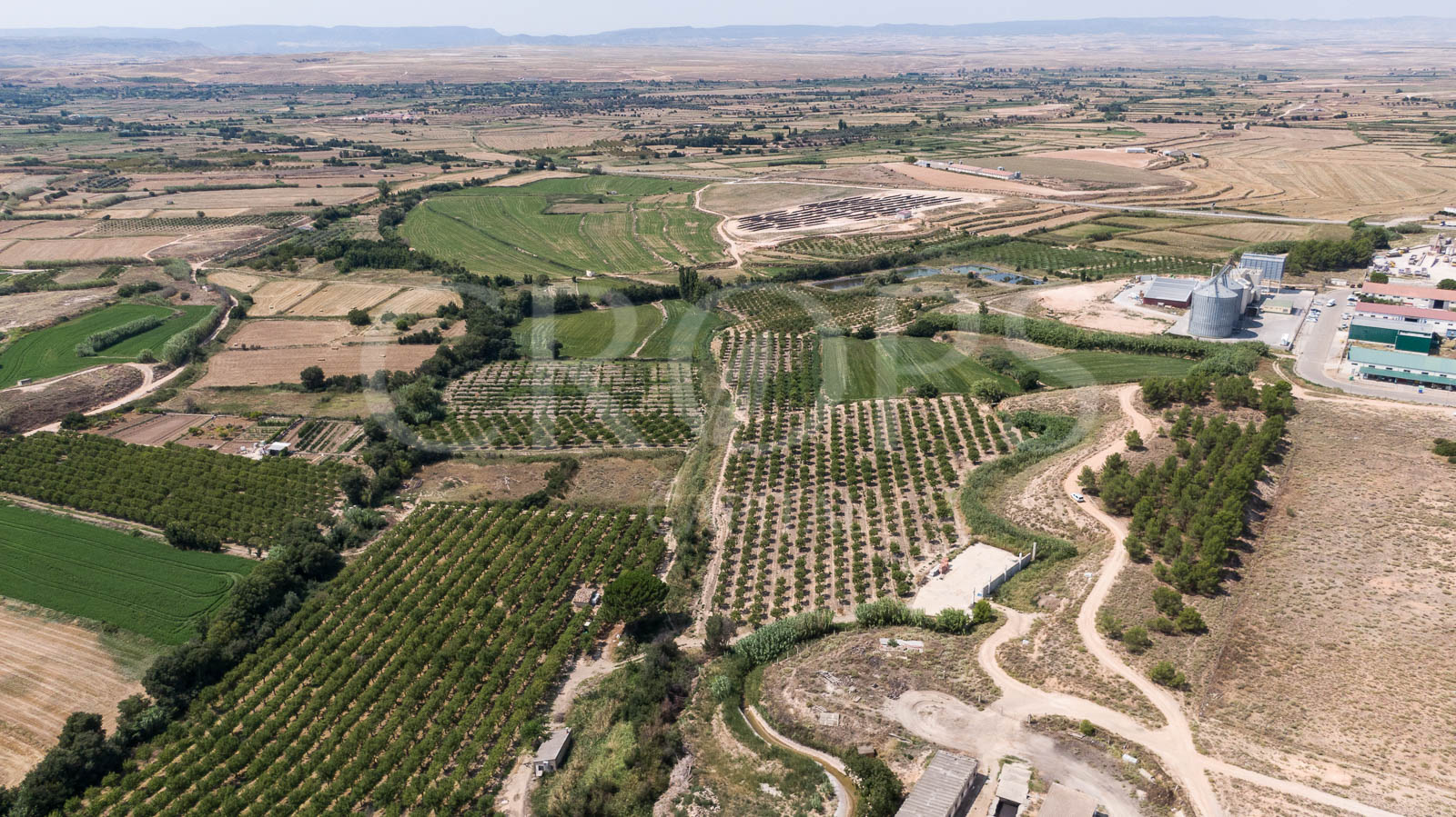 Venta de finca de regadío en la provincia de Teruel Venta de finca de regadío en la provincia de Teruel