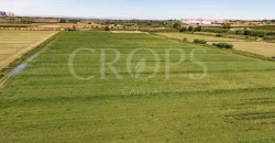 En venta finca agrícola de regadío en Huesca