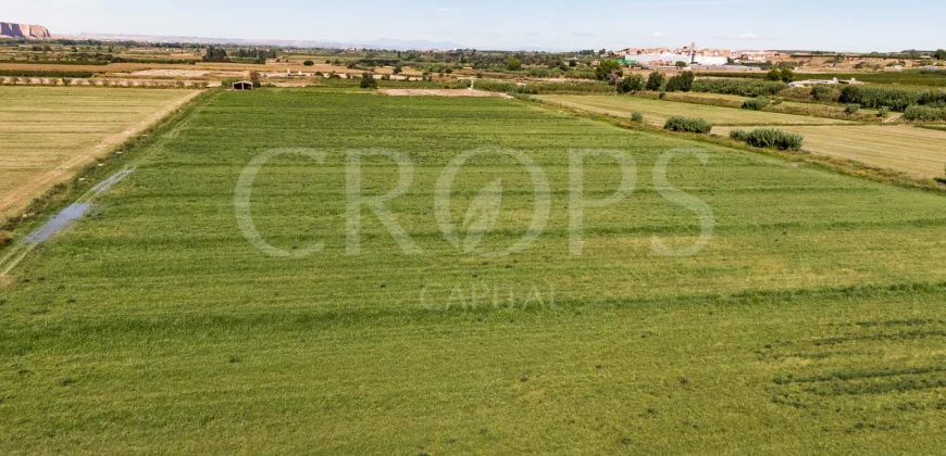 En venta finca agrícola de regadío en Huesca