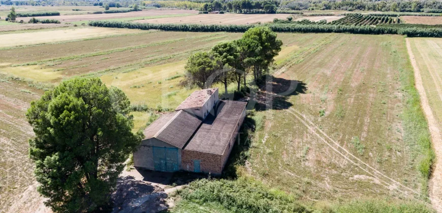 En venta finca agrícola de regadío en Huesca