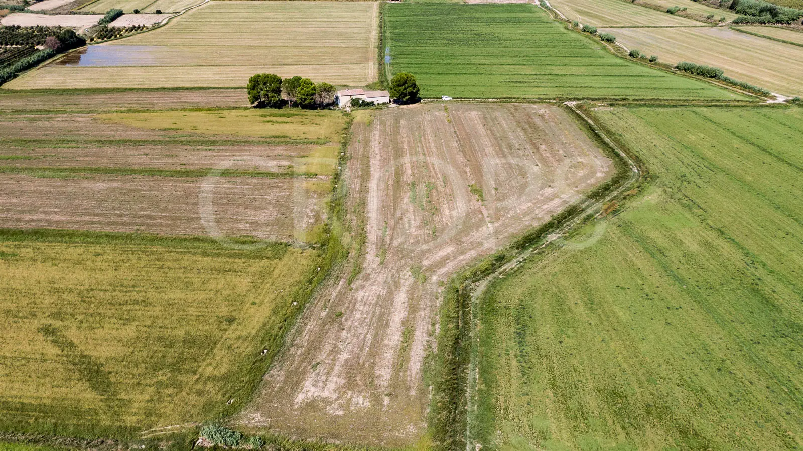 En venta finca agrícola de regadío en Huesca En venta finca agrícola de regadío en Huesca
