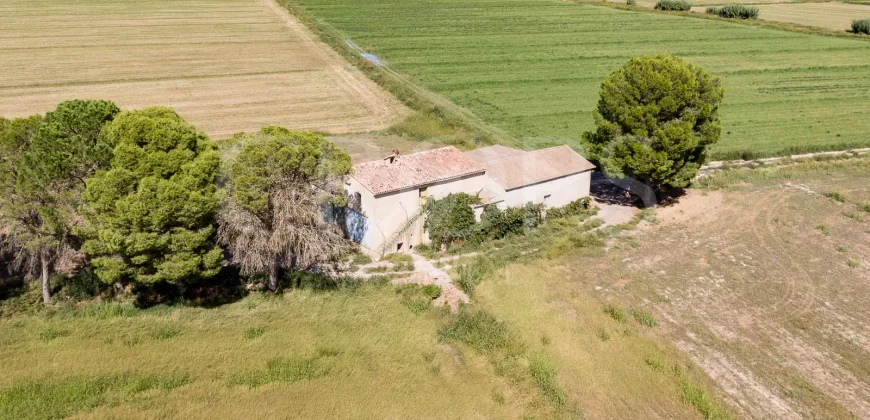 En venta finca agrícola de regadío en Huesca