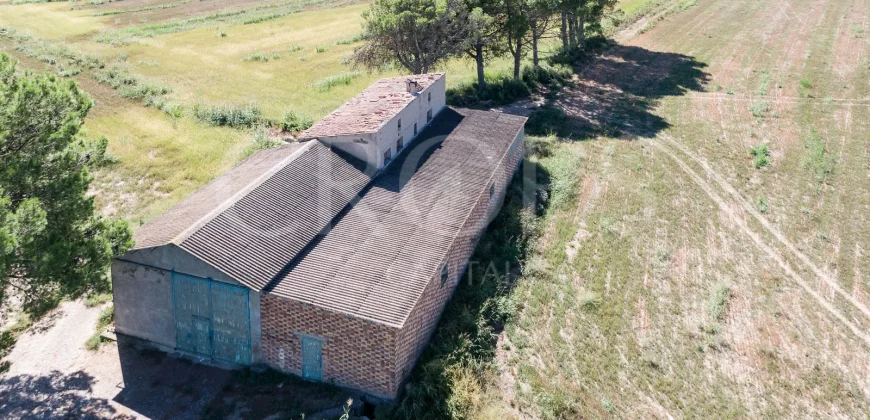 En venta finca agrícola de regadío en Huesca