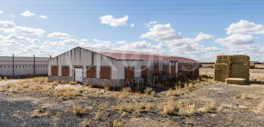 En venta finca para eventos taurinos y ocio rural entre Salamanca y Valladolid