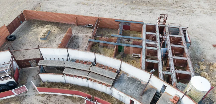 En venta finca para eventos taurinos y ocio rural entre Salamanca y Valladolid