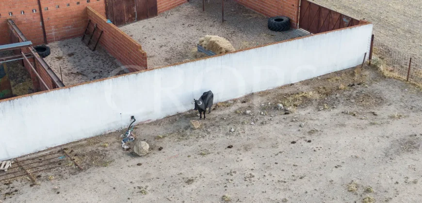 En venta finca para eventos taurinos y ocio rural entre Salamanca y Valladolid