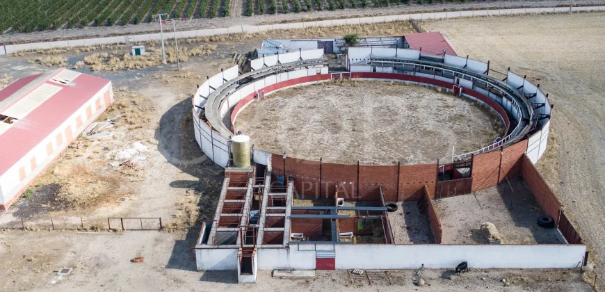 En venta finca para eventos taurinos y ocio rural entre Salamanca y Valladolid